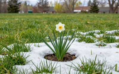 Why Starting Landscaping Too Early in Spring Backfires in Canada