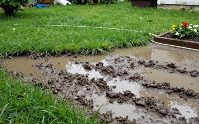 Poor Drainage in Backyard: Causes, Warning Signs & How to Fix It Permanently