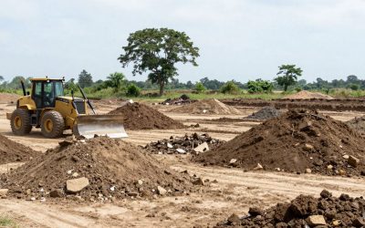Cost of Land Clearing for New Landscaping Projects in Ottawa